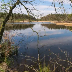 Nationaal Park De Meinweg - Roermond