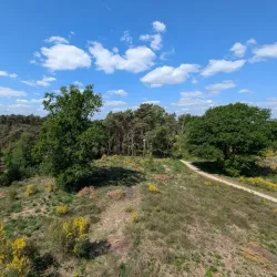 Nationaal Park De Meinweg - Roermond