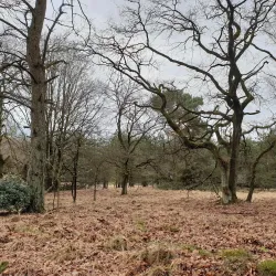 Nationaal Park De Meinweg - Roermond