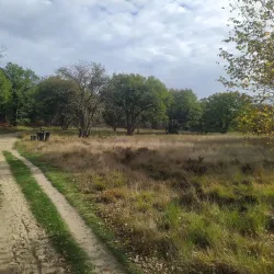 Nationaal Park De Meinweg - Roermond