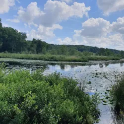 Nationaal Park De Meinweg - Roermond