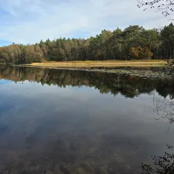 Nationaal Park De Meinweg - Roermond