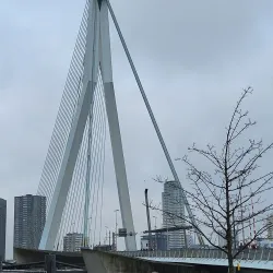 Erasmus Bridge (Erasmusbrug) - Rotterdam