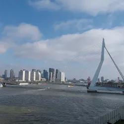 Erasmus Bridge (Erasmusbrug) - Rotterdam