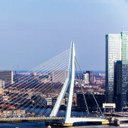 Erasmus Bridge (Erasmusbrug) - Rotterdam