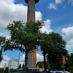Euromast Tower - Rotterdam
