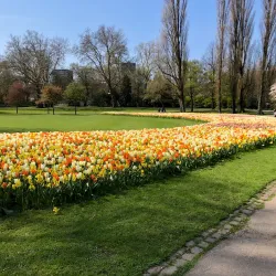 Het Park - Rotterdam