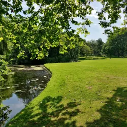 Het Park - Rotterdam
