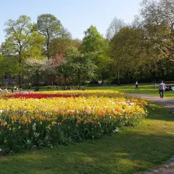Het Park - Rotterdam