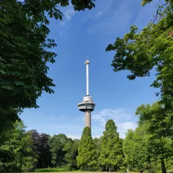 Het Park - Rotterdam