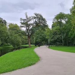 Het Park - Rotterdam