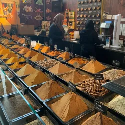 Markthal Rotterdam - Rotterdam