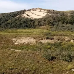 De Struikheide Nature Reserve - 's-Gravenzande
