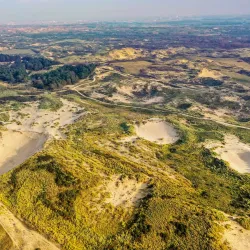 De Struikheide Nature Reserve - 's-Gravenzande