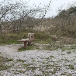 De Struikheide Nature Reserve - 's-Gravenzande