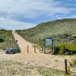 De Struikheide Nature Reserve - 's-Gravenzande