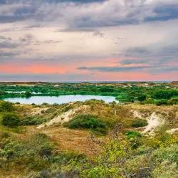 De Struikheide Nature Reserve - 's-Gravenzande