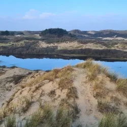 De Struikheide Nature Reserve - 's-Gravenzande