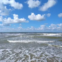 Dunes of 's-Gravenzande - 's-Gravenzande