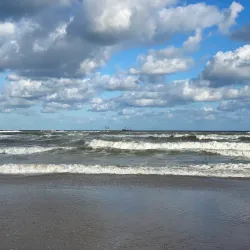 Dunes of 's-Gravenzande - 's-Gravenzande