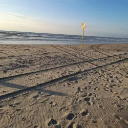 Dunes of 's-Gravenzande - 's-Gravenzande