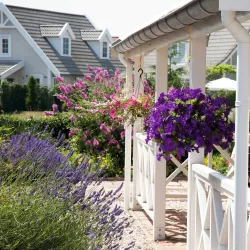 Havenpark - 's-Gravenzande