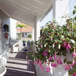 Havenpark - 's-Gravenzande