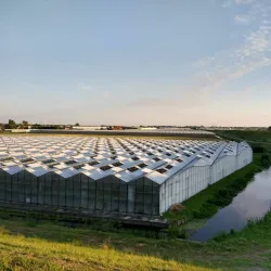 's-Gravenzande Beach - 's-Gravenzande