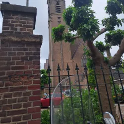 Sint Adrianus Church - 's-Gravenzande