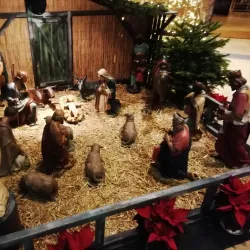 Sint Adrianus Church - 's-Gravenzande