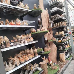 Westland Greenhouses - 's-Gravenzande