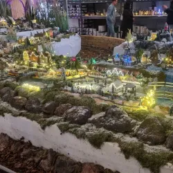 Westland Greenhouses - 's-Gravenzande