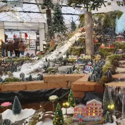 Westland Greenhouses - 's-Gravenzande