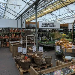 Westland Greenhouses - 's-Gravenzande