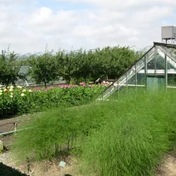 Westlands Museum - 's-Gravenzande