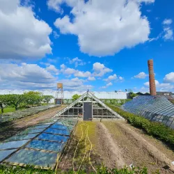 Westlands Museum - 's-Gravenzande