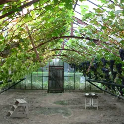 Westlands Museum - 's-Gravenzande