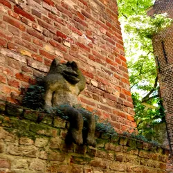 Binnendieze Canal Tours - 's-Hertogenbosch