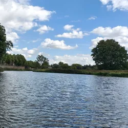 Binnendieze Canal Tours - 's-Hertogenbosch