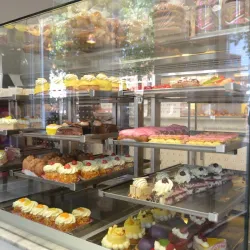 Bossche Bol - 's-Hertogenbosch