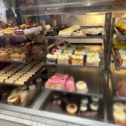 Bossche Bol - 's-Hertogenbosch