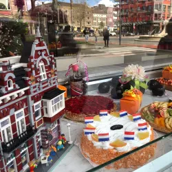 Bossche Bol - 's-Hertogenbosch