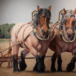 Museum Slager - 's-Hertogenbosch