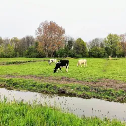 Park Kethel - Schiedam