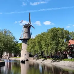 Windmill De Walvisch - Schiedam