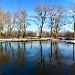 De Dommel River - Sint-Oedenrode
