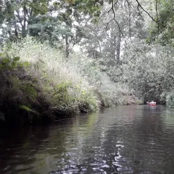 De Dommel River - Sint-Oedenrode