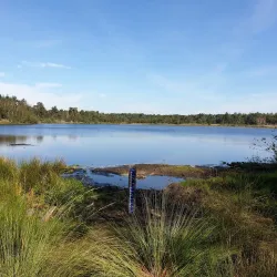 De Vresselse Bossen - Sint-Oedenrode
