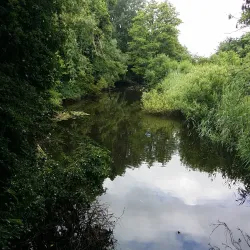Heemkundekring Sint-Oedenrode - Sint-Oedenrode