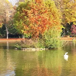 Gracht Park - Sittard